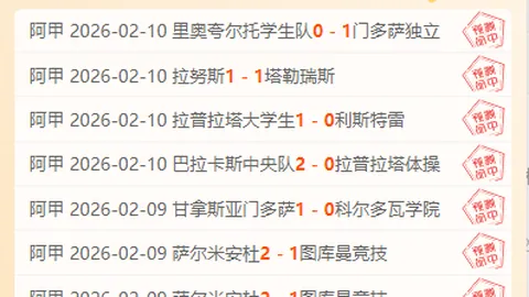 德甲第23轮：柏林联合与海登海姆战平，精彩瞬间集锦